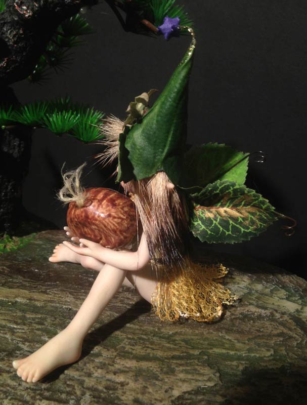 Baby Fairie Pixie Malika and the sweet Chestnut